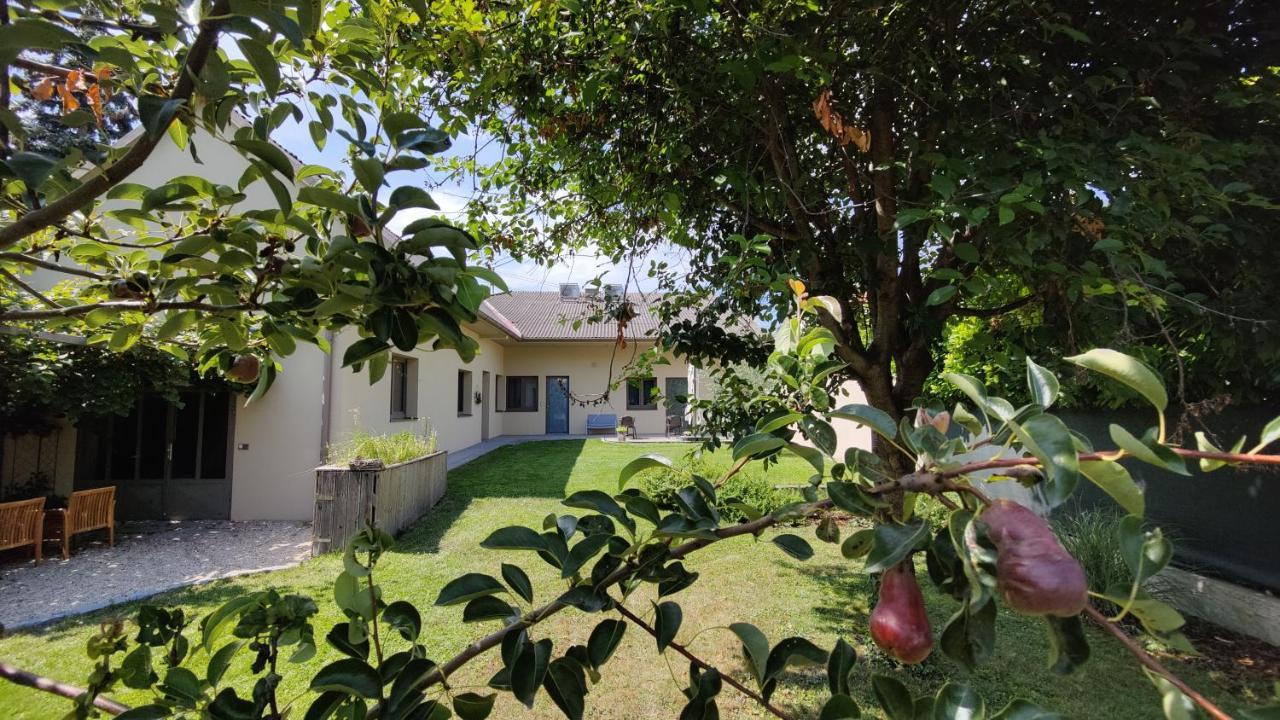 Sabines Apartments Ferienwohnungen فرونكرشن المظهر الخارجي الصورة