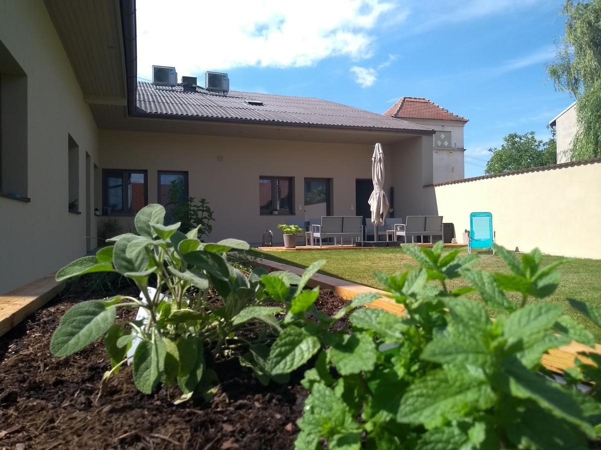 Sabines Apartments Ferienwohnungen فرونكرشن المظهر الخارجي الصورة